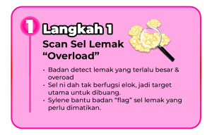 langkah 1