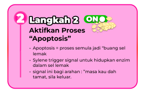 langkah 2