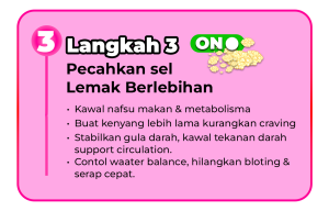 langkah 3