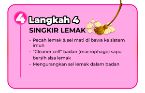 langkah 4